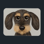 Wirehaered Dachshund | Cute Cartoon Dog Teckel Magneet<br><div class="desc">A fun kitchen magnet for wire haired Dachshund lovers. Wild boar and tan colored Teckel. Visit Jenn's Doodle World for even more accessories for home and office with this funny dog and more original wiener dog designs.</div>