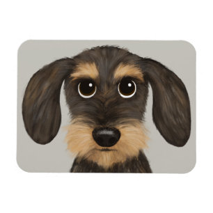 Wirehaered Dachshund   Cute Cartoon Dog Teckel Magneet