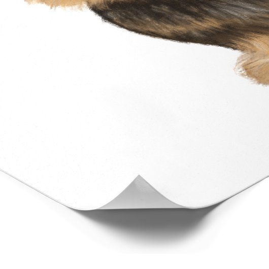 Wirehaered Dachshund | Cute Cartoon Dog Teckel Poster (Hoek)