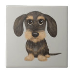 Wirehaered Dachshund | Cute Cartoon Dog Teckel Tegeltje<br><div class="desc">Wirehaired wilde zwijnen en tan gekleurde Teckel. Bezoek Jenn's Doodle World voor nog meer accessoires voor thuis en kantoor met deze grappige teckel en meer originele wiener hondenontwerpen.</div>
