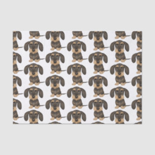 Wirehaered Dachshund   Cute Teckel Dog Pattered Tissuepapier