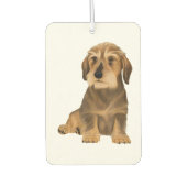 Wirehaered Dachshund Sitting Dog Luchtverfrisser (Voorkant)