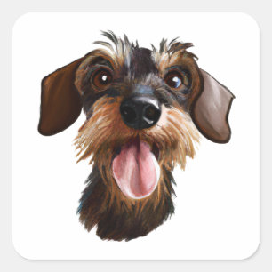 Wirehaered Dachshund Vierkante Sticker