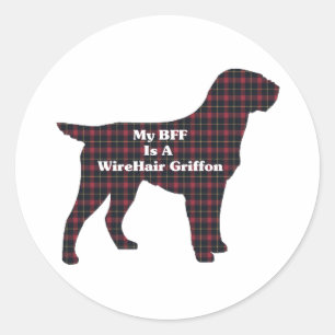 Wirehaered Pointing Griffon BFF Sticker