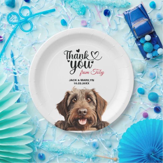 Wirehaered Pointing Griffon Papieren Bordje (Feest)