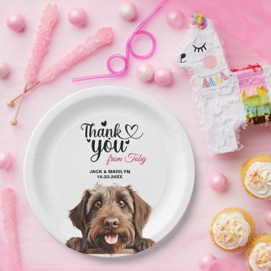 Wirehaered Pointing Griffon Papieren Bordje (Feest)