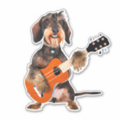 Wirehair Dachshund die Acoustic Guitar speelt Sticker (Voorkant)