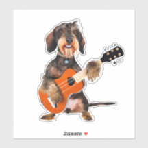 Wirehair Dachshund die Acoustic Guitar speelt