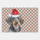 Wirehair Dachshund Dog Red Plaid Christmas Inpakpapier Vel (Voorkant 3)