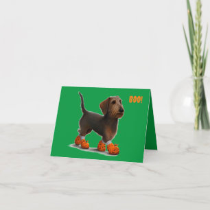Wirehair Dachshund Halloween Kaart