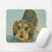 wirehair dachshund muismat (Met muis)