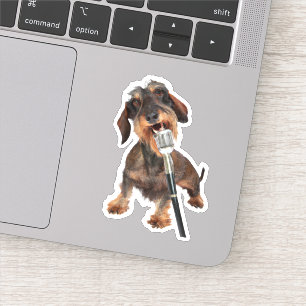 Wirehair Dachshund Singing Sticker