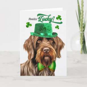 Wirehair Pointing Griffon Lucky St Patrick's Day Feestdagen Kaart