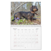 Wirehaire Dachshund Calendar Kalender (Mar 2026)