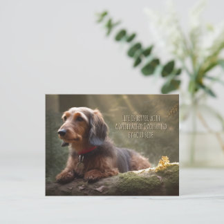 Wirehaire Dachshund in Forest Briefkaart