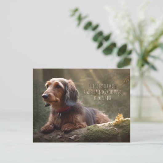 Wirehaire Dachshund in Forest Briefkaart (Staand voorkant)