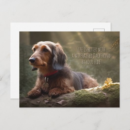 Wirehaire Dachshund in Forest Briefkaart (Voorkant / Achterkant)