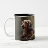 Wirehaire Dachshund in Forest Two-Tone Coffee Mok (Links)