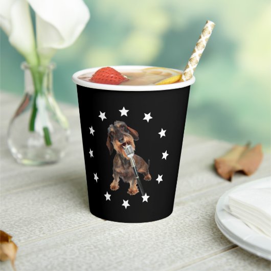 Wirehaire Dachshund Singer Papieren Bekers (Insitu)