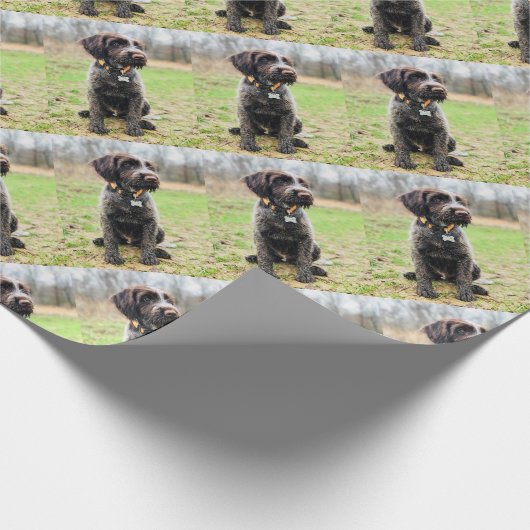 Wirehaire gericht op Griffon puppy Cadeaupapier (Hoek)