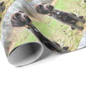 Wirehaire gericht op Griffon puppy Cadeaupapier (Rol Hoek)