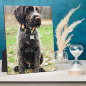 Wirehaire gericht op Griffon puppy Fotoplaat (Zijkant)