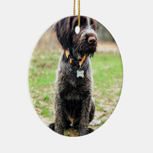 Wirehaire gericht op Griffon puppy Keramisch Ornament (Rechts)