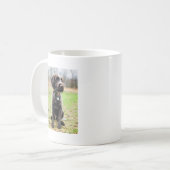 Wirehaire gericht op Griffon puppy Koffiemok (Voorkant links)