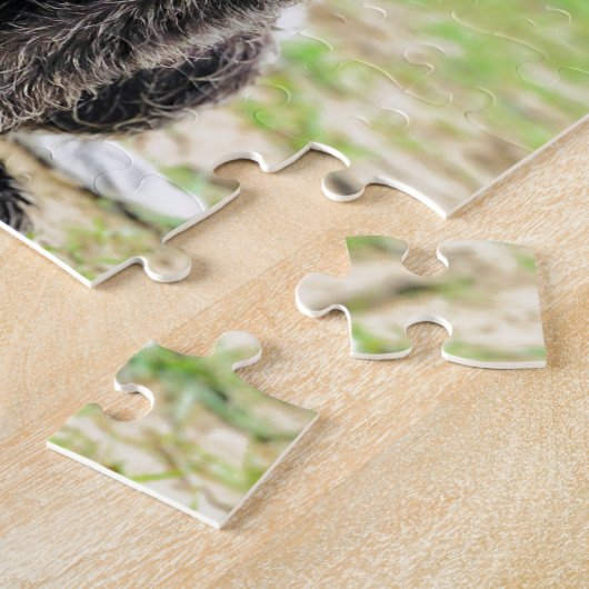 Wirehaire gericht op Griffon puppy Legpuzzel (Zijkant)