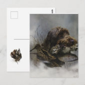 Wirehaire Pointing Griffon, Woodcock-jacht Briefkaart (Voorkant / Achterkant)