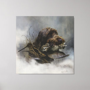 Wirehaire Pointing Griffon, Woodcock-jacht Canvas Afdruk
