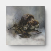 Wirehaire Pointing Griffon, Woodcock-jacht Fotoplaat (Voorkant)