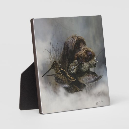 Wirehaire Pointing Griffon, Woodcock-jacht Fotoplaat (Voorkant)