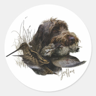 Wirehaire Pointing Griffon, Woodcock-jacht Ronde Sticker
