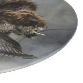 Wirehaire Pointing Griffon, Woodcock-jacht Snijplank (Hoek)