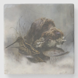Wirehaire Pointing Griffon, Woodcock-jacht Stenen Onderzetter