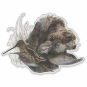 Wirehaire Pointing Griffon, Woodcock-jacht Sticker (Voorkant)