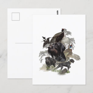 Wirehaired aanwijzer, buiten jacht briefkaart