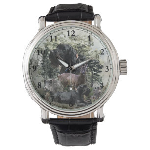 Wirehaired aanwijzer, buiten jacht horloge