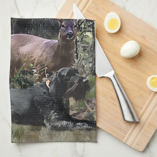 Wirehaired aanwijzer, buiten jacht theedoek (Quarter Fold)