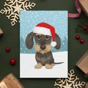 Wirehaired Dachshund Vakantie Schattige Pet Dog Cu Briefkaart