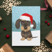 Wirehaired Dachshund Vakantie Schattige Pet Dog Cu Briefkaart