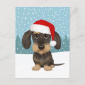 Wirehaired Dachshund Vakantie Schattige Pet Dog Cu Briefkaart (Voorkant)
