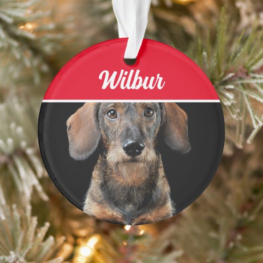 Wirehaired Dachshund with Name and Photo Christmas Ornament (Boom)