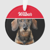 Wirehaired Dachshund with Name and Photo Christmas Ornament (voorkant)