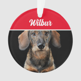 Wirehaired Dachshund with Name and Photo Christmas Ornament