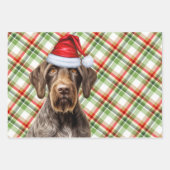 Wirehaired Pointer Christmas Dog Red Green Plaid Inpakpapier Vel (Voorkant 3)