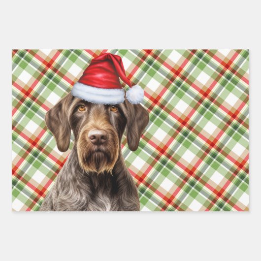 Wirehaired Pointer Christmas Dog Red Green Plaid Inpakpapier Vel (Voorkant 3)