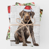 Wirehaired Pointer Christmas Dog Red Green Plaid Inpakpapier Vel (In situ)