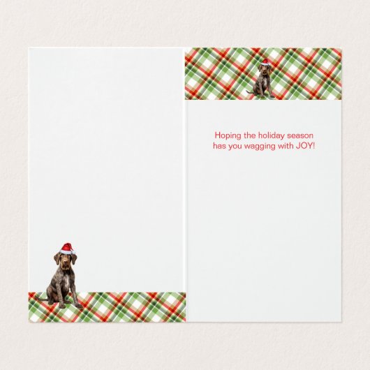 Wirehaired Pointer Dog Holiday Red Plaid Kerstmis Kaart (Binnenkant ongevouwen)
